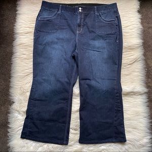 lane bryant trousers